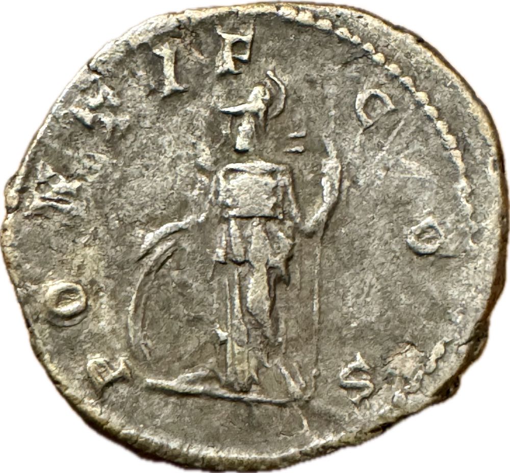 Septimius Severus 193-211. • Für Geta. AR-Denar 205  coin collectible - Main Image 2