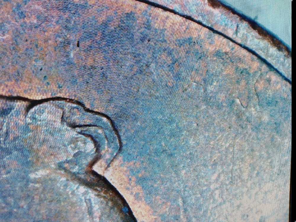 Lunar Series III 2022 Year of the Tiger 1/2oz