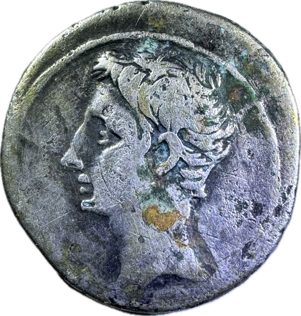 Paddington at St Paul’s