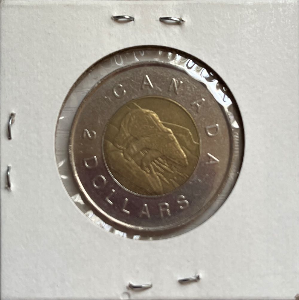 Canadian 1996 Elizabeth II Polar Bear 2 Dollar Coin  coin collectible - Main Image 2