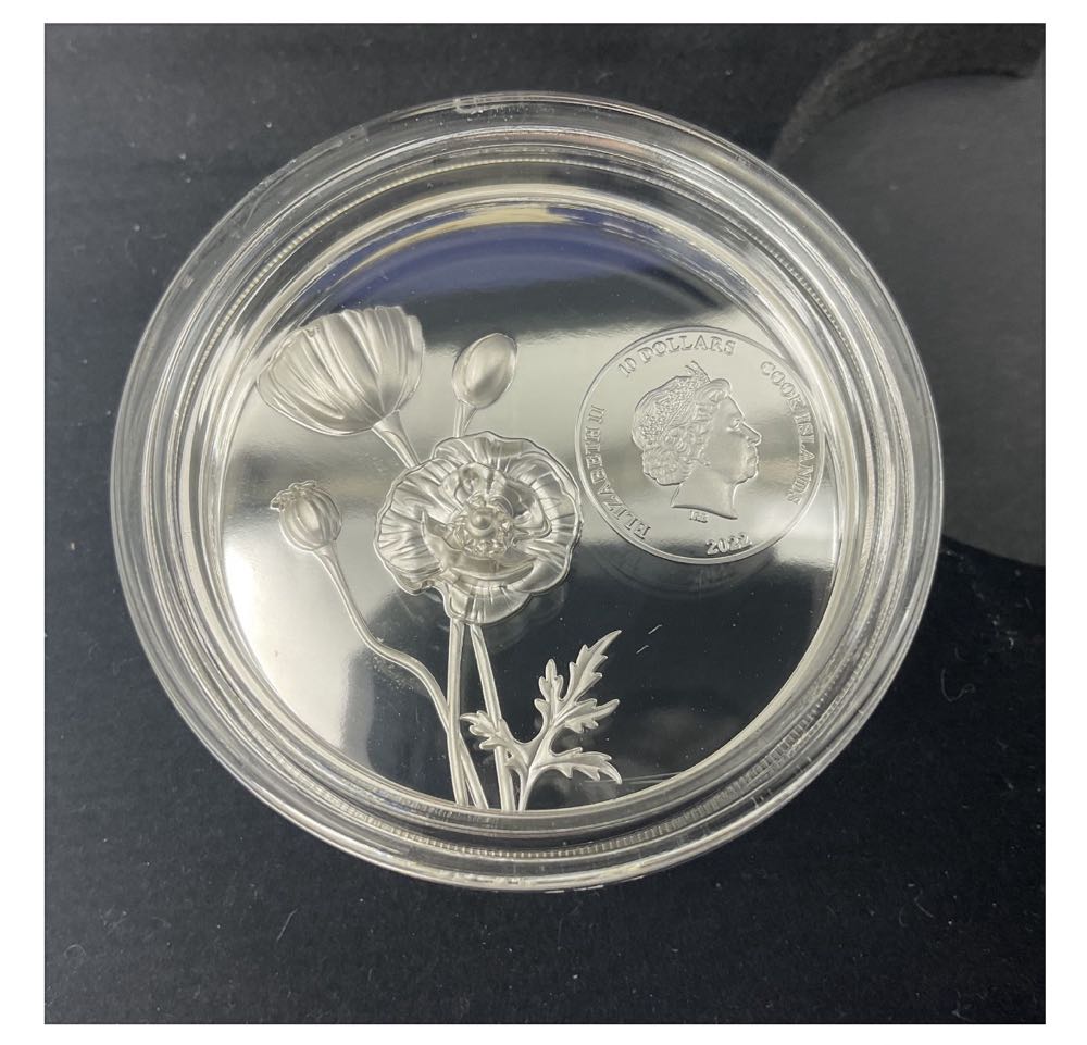 The Royal British Legion Centenary  coin collectible - Main Image 2