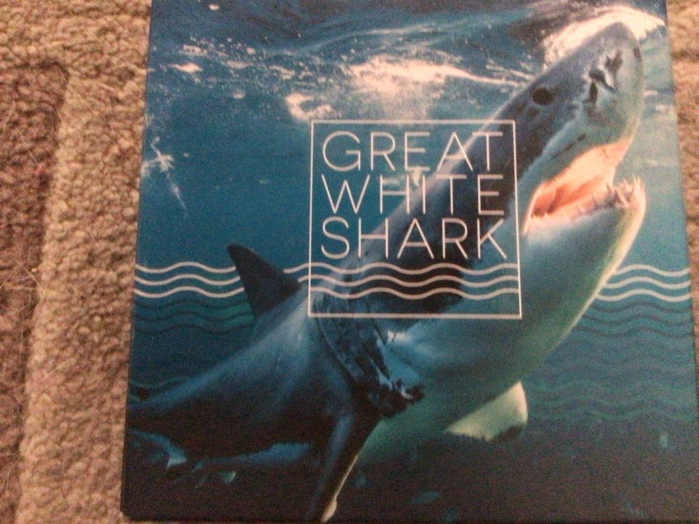 Ak-interactive Sand And Desert Camouflage Panliner 35 Ml 1.18 Fl.oz Jar Model Building Paints And Tools #