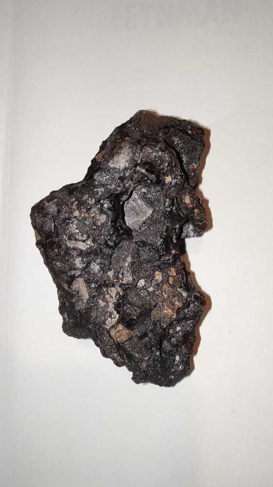 ORELLANITA  coin collectible - Main Image 3