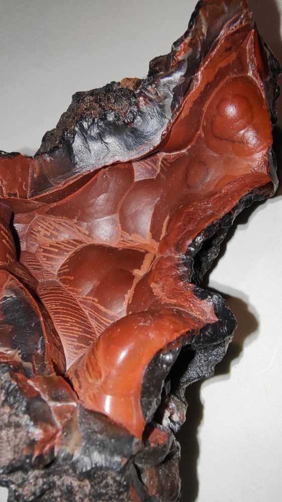 ORELLANITA  coin collectible - Main Image 4