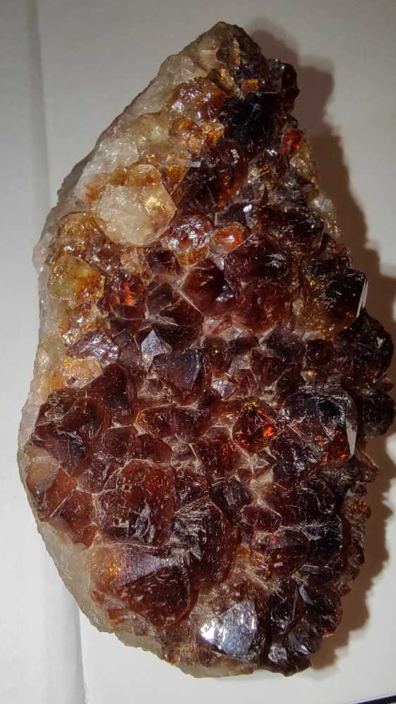 CITRINO  coin collectible - Main Image 2