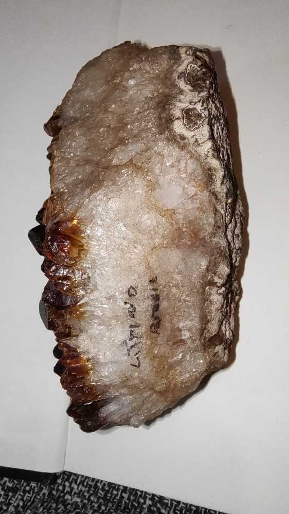 CITRINO  coin collectible - Main Image 3