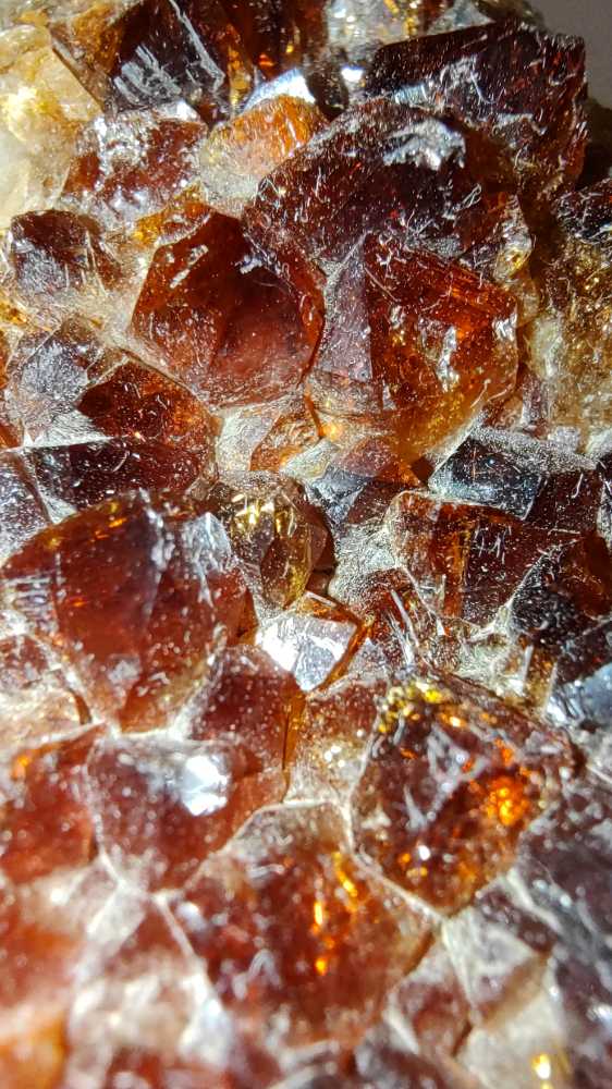 CITRINO  coin collectible - Main Image 4