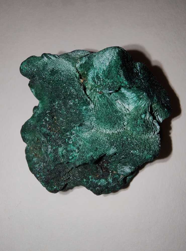 Australia: 20 Cent Cricket World Cup Cwc Collection On Card Icc .. Australia