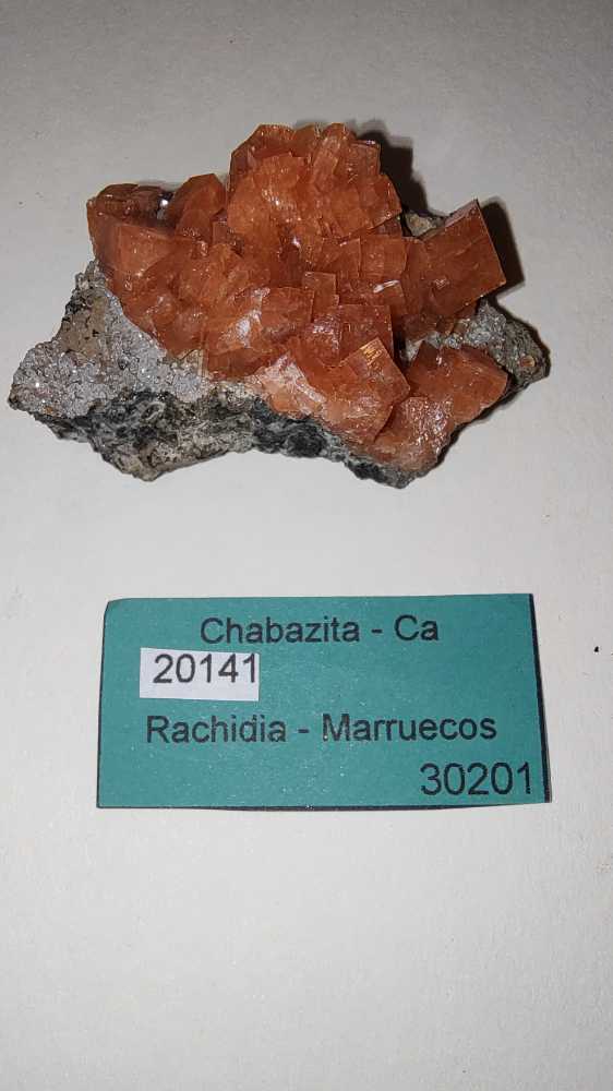 CHABAZITA  coin collectible - Main Image 4