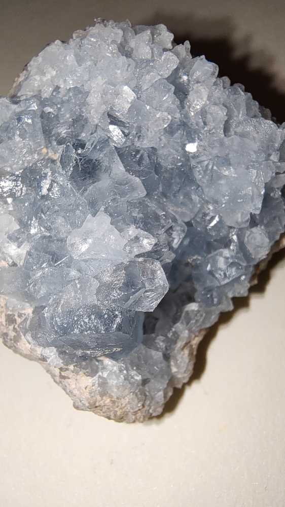 CELESTINA  coin collectible - Main Image 2