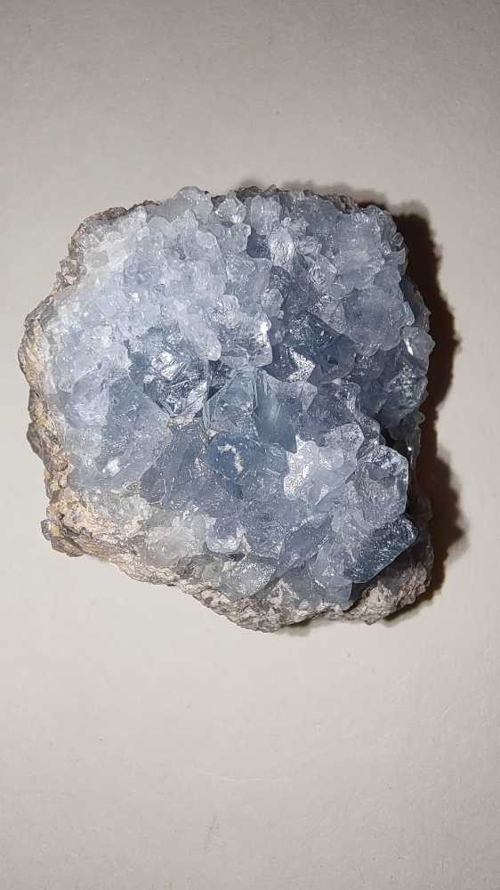 CELESTINA  coin collectible - Main Image 3