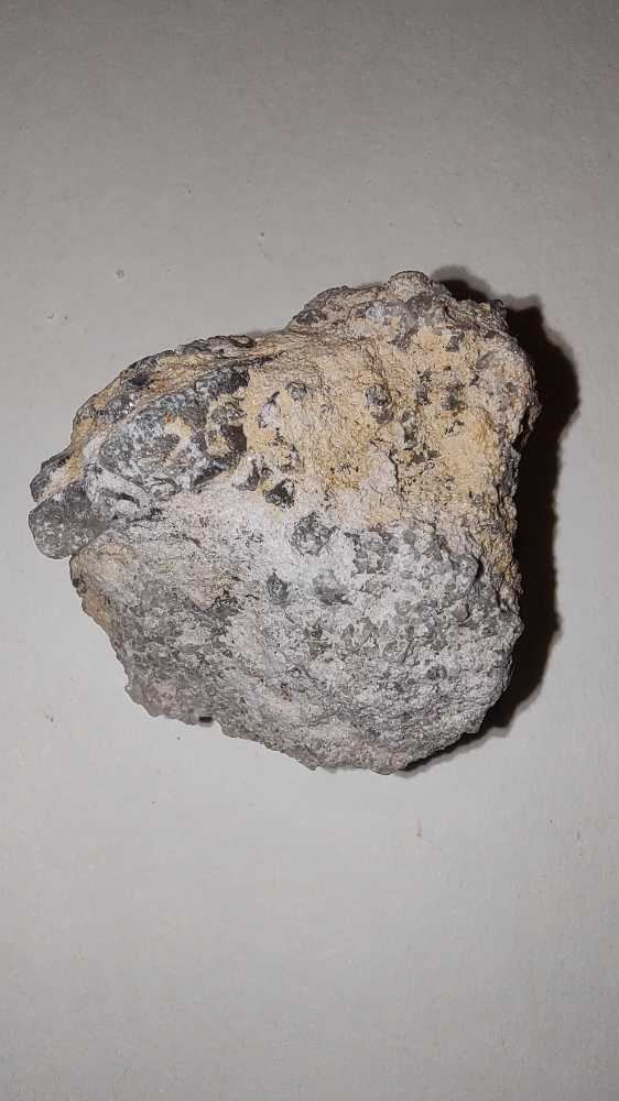 CELESTINA  coin collectible - Main Image 4