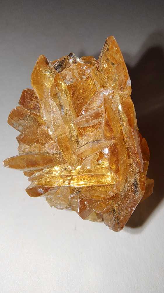 SELENITA DORADA  coin collectible - Main Image 4