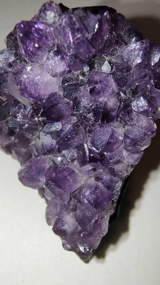 AMATISTA  coin collectible - Main Image 2