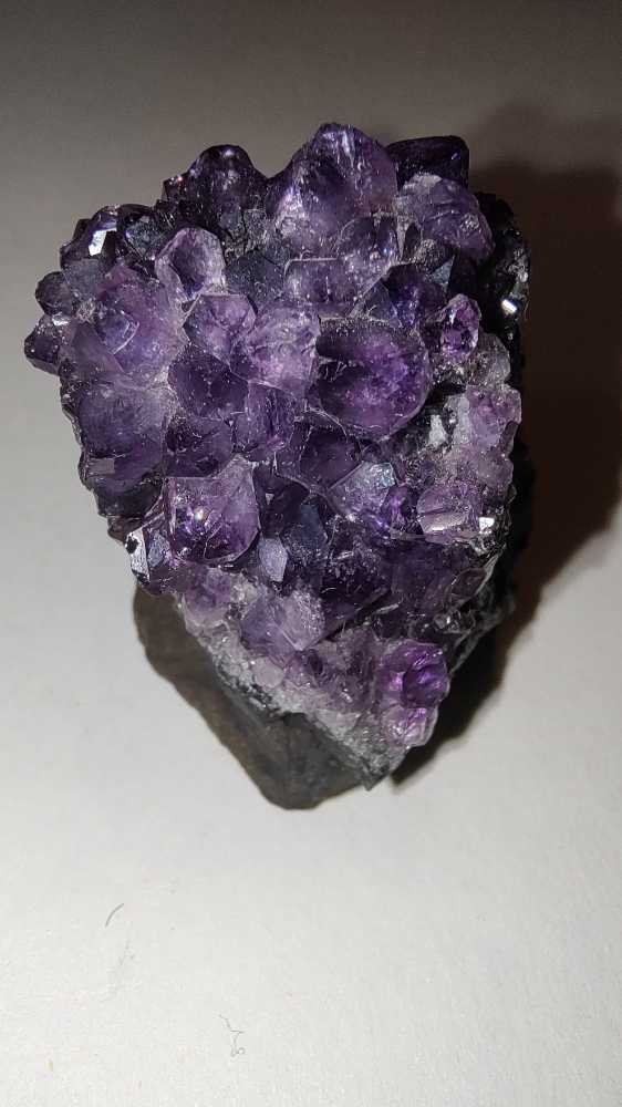 AMATISTA  coin collectible - Main Image 3