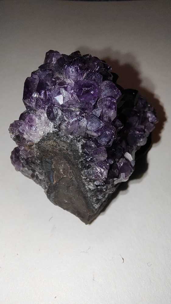 AMATISTA  coin collectible - Main Image 4