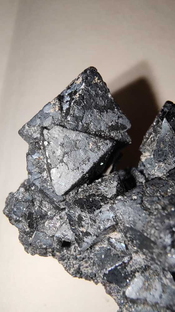 MARTITA  coin collectible - Main Image 2