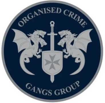 121 + 2 2023 Taskforce Maxima  coin collectible - Main Image 2