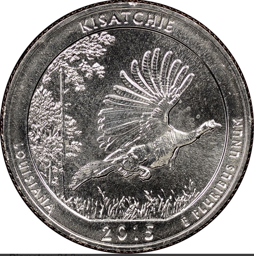 The Definitive Coins of 2022