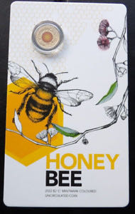 American 2010 P Millard Fillmore $1 Presidential Dollar