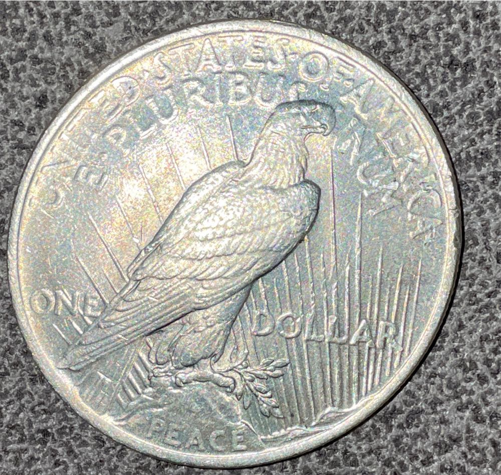 1924 Peace Dollar  coin collectible - Main Image 2