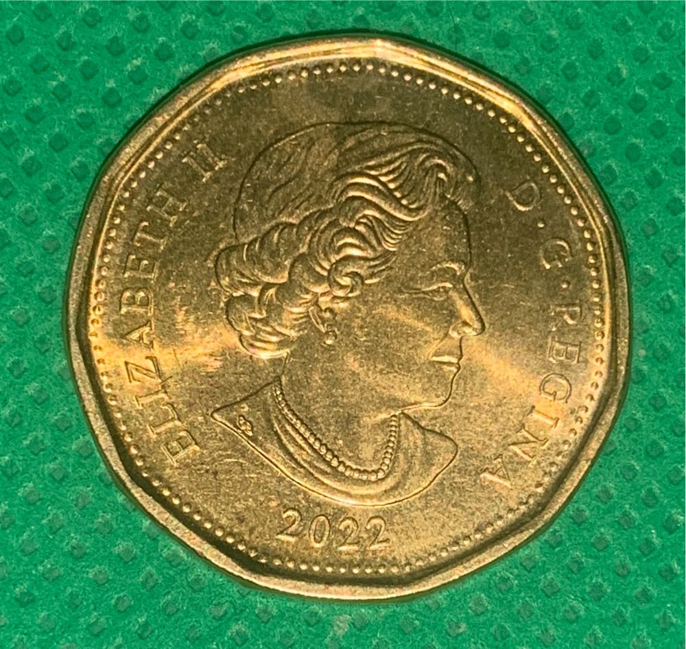 1 Dollar - Elizabeth II (4th portrait, new alloy)  coin collectible - Main Image 2
