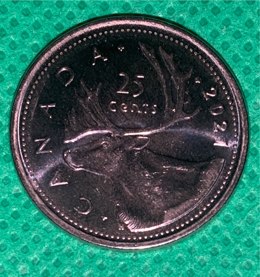 $1 2019 Iced Vovo Coin