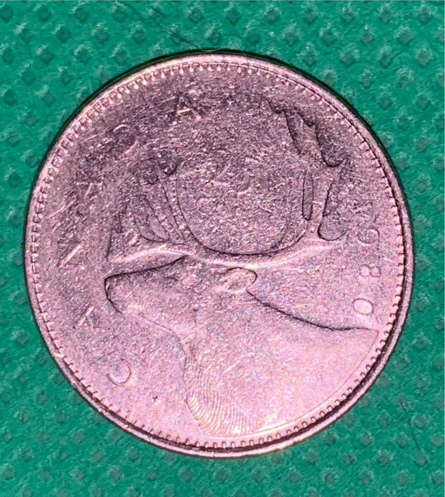 Tamiya Acrylic Mini Xf63 German Grey Tam81763 Plastics Paint Acrylic