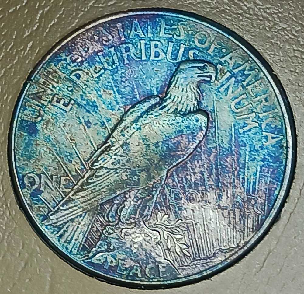 Albums : Dansco Album 1921 - 1935 Peace Dollars  coin collectible - Main Image 2