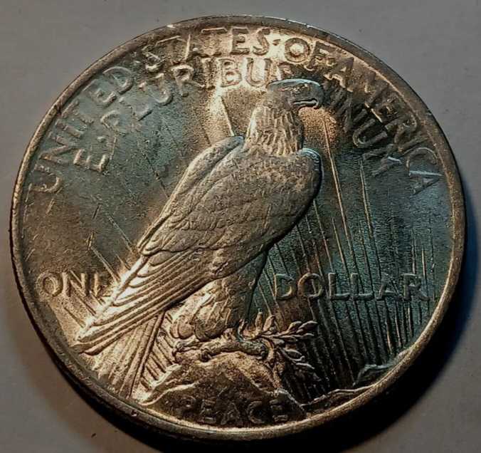Dollars : 1923 Peace Dollar Gem Bu  coin collectible - Main Image 2