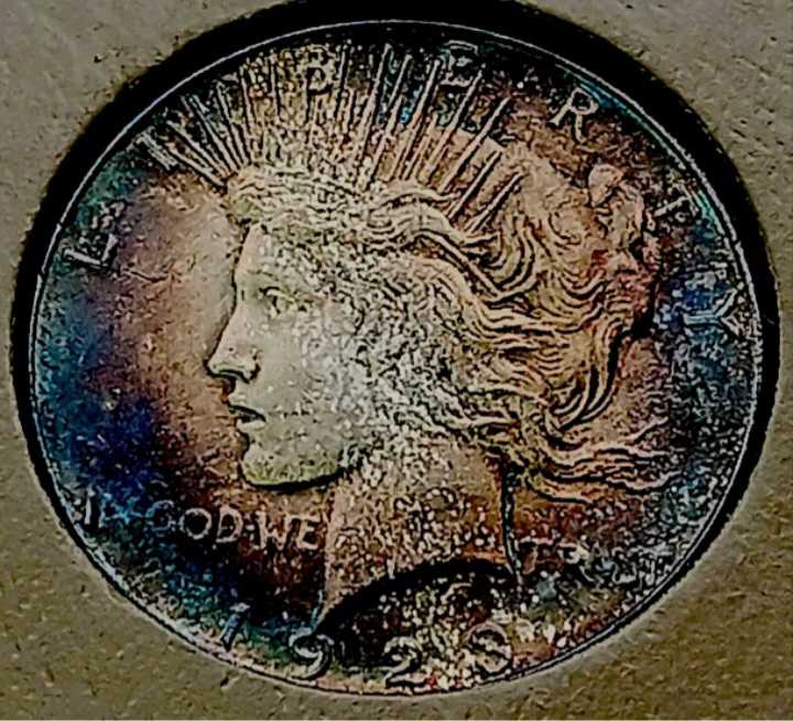 Una And The Lion - The East India Company