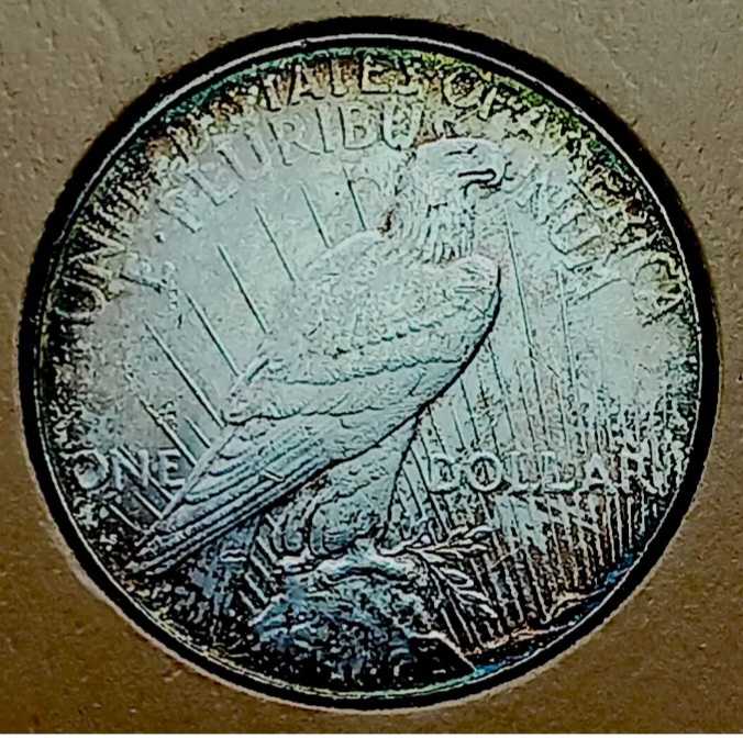 1923 D Peace Dollar  coin collectible - Main Image 2