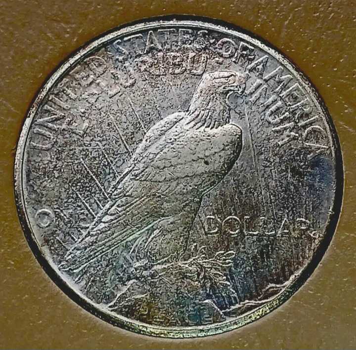 Dollars : 1926 Peace Dollar  coin collectible - Main Image 2