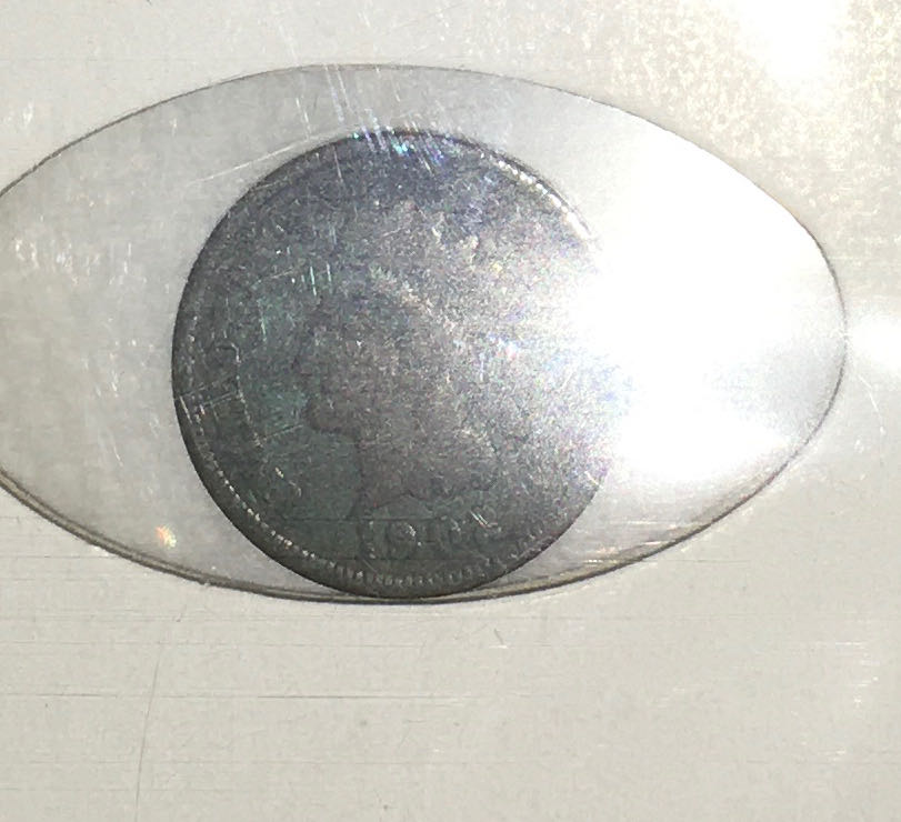 ROLL 5 Cent King Charles III “Echidna” (40) Coin Roll