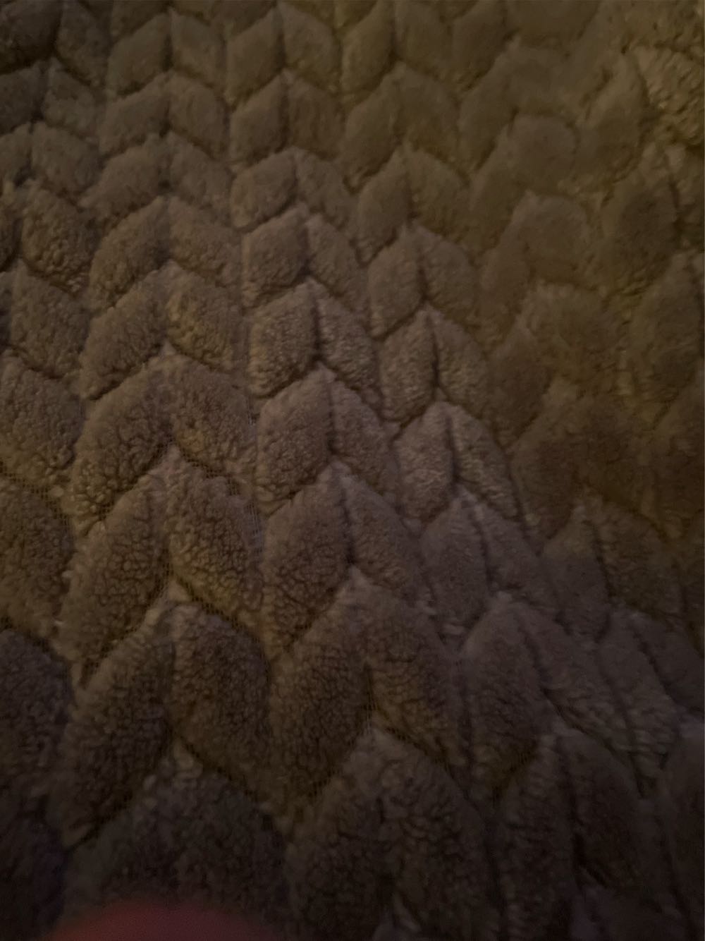 Lincoln Wheat Penny 1953