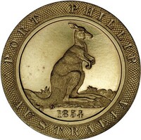 2010 Australian Winter Olympic Team