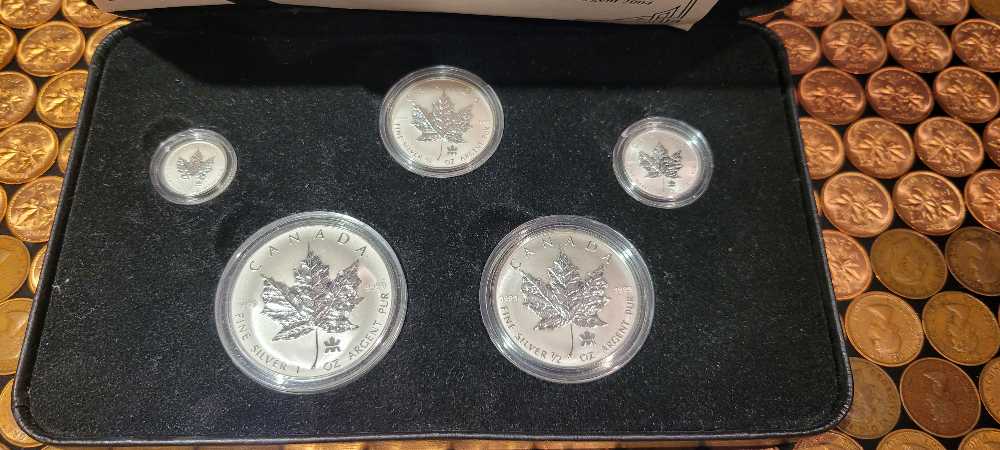 2004 Silver Maple Leaf Privy Mark Set  coin collectible - Main Image 2