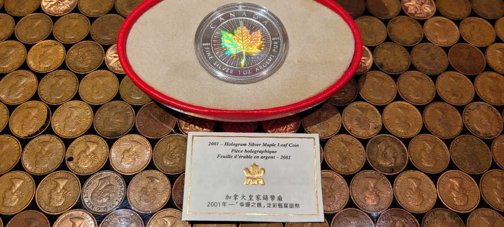 Dollar Coin Martin Van Buren