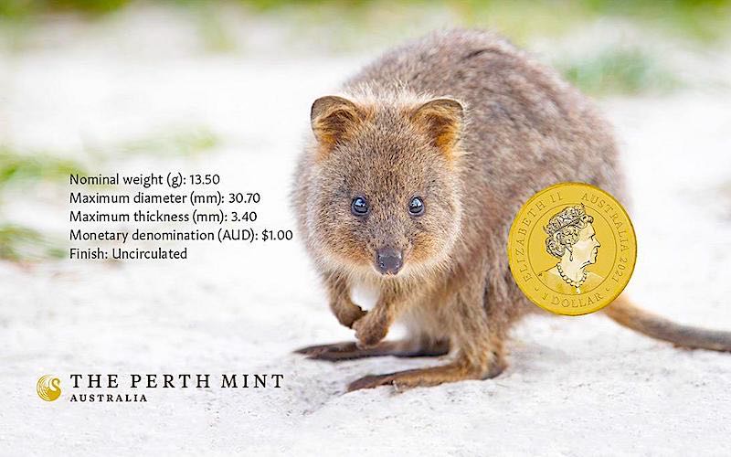 Quokka | 2021  coin collectible - Main Image 4