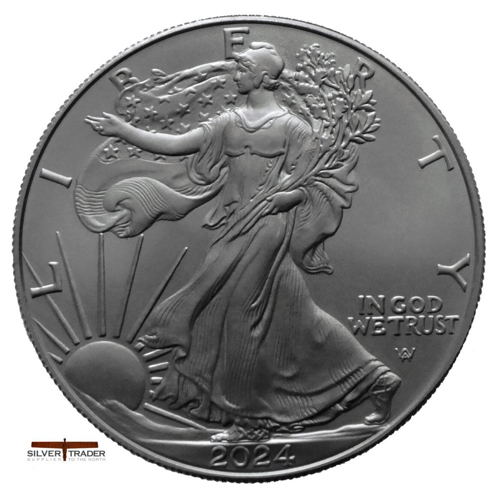 US Eagle Silver Bullion  coin collectible - Main Image 2