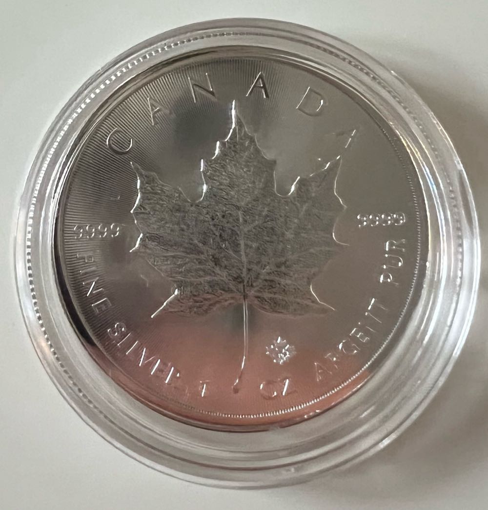 2019 Britannia - Standard