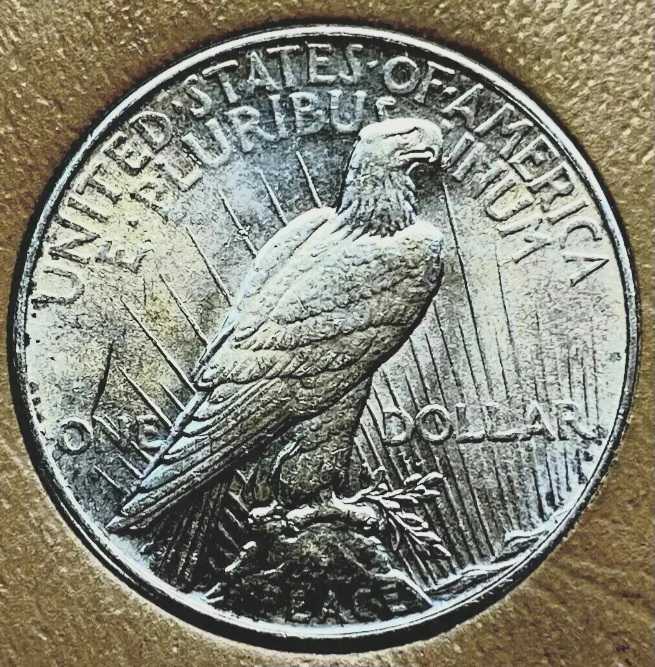 Silver Dollars : 1934 Silver Peace Dollar  coin collectible - Main Image 2