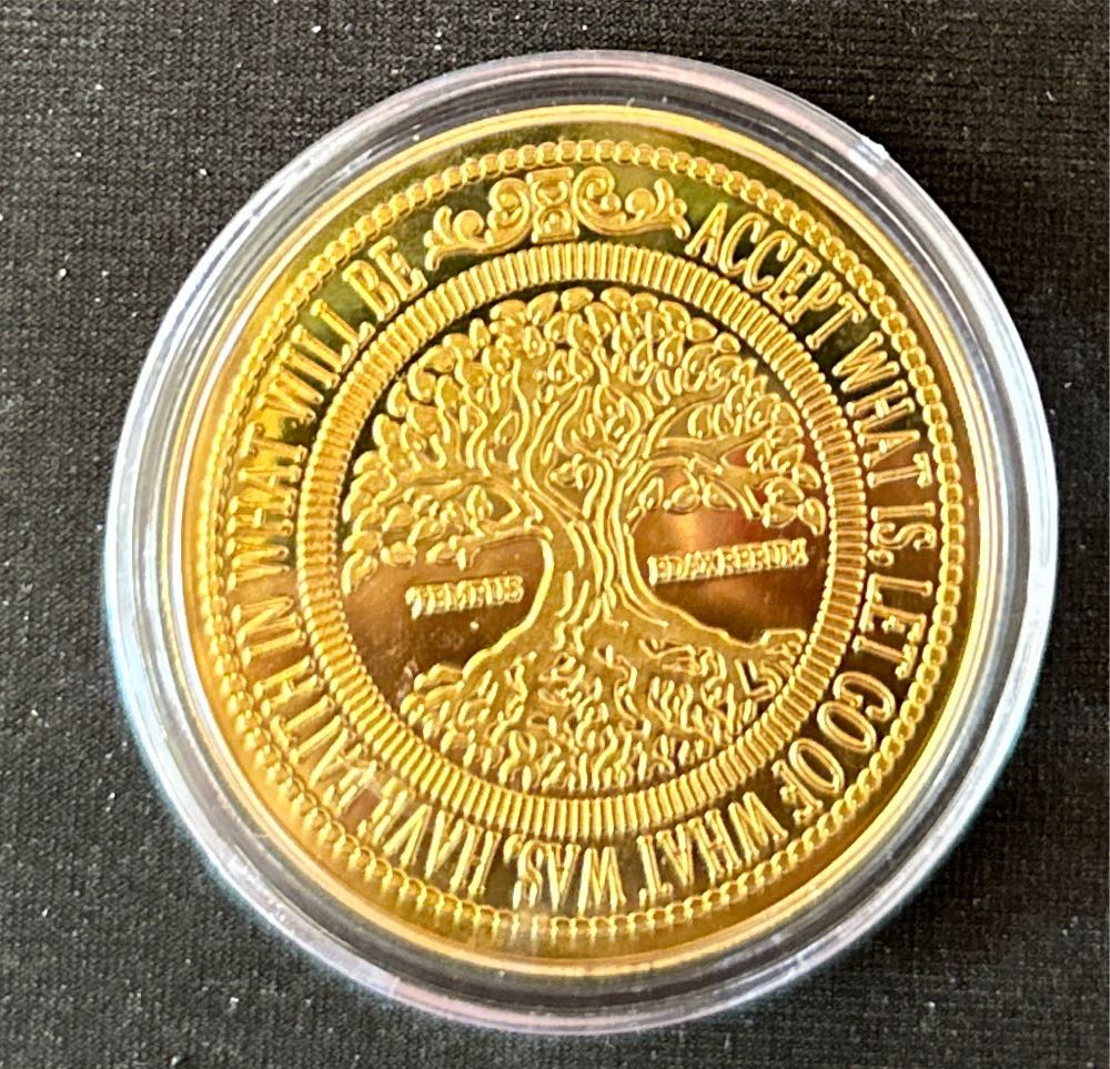 Coin Golden This Too Shall Pass  coin collectible [Barcode 22992473453] - Main Image 2