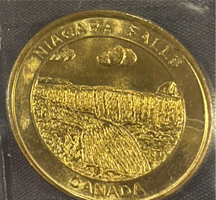 2007 $10 Platinum Eagle MS70 NGC