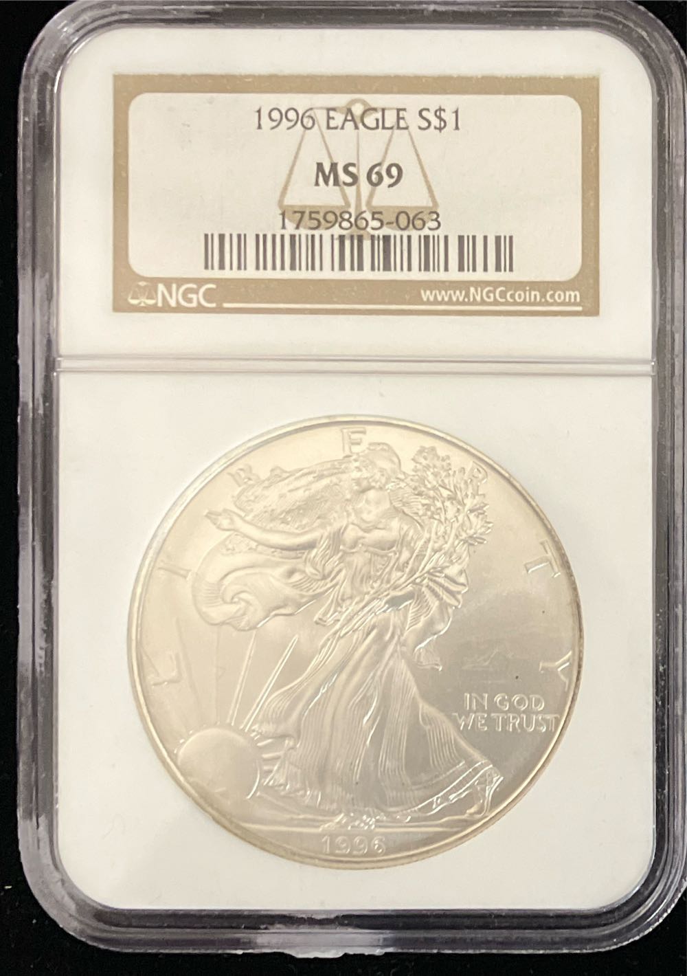 Constitutional Law: Federal governmental powers and federalism