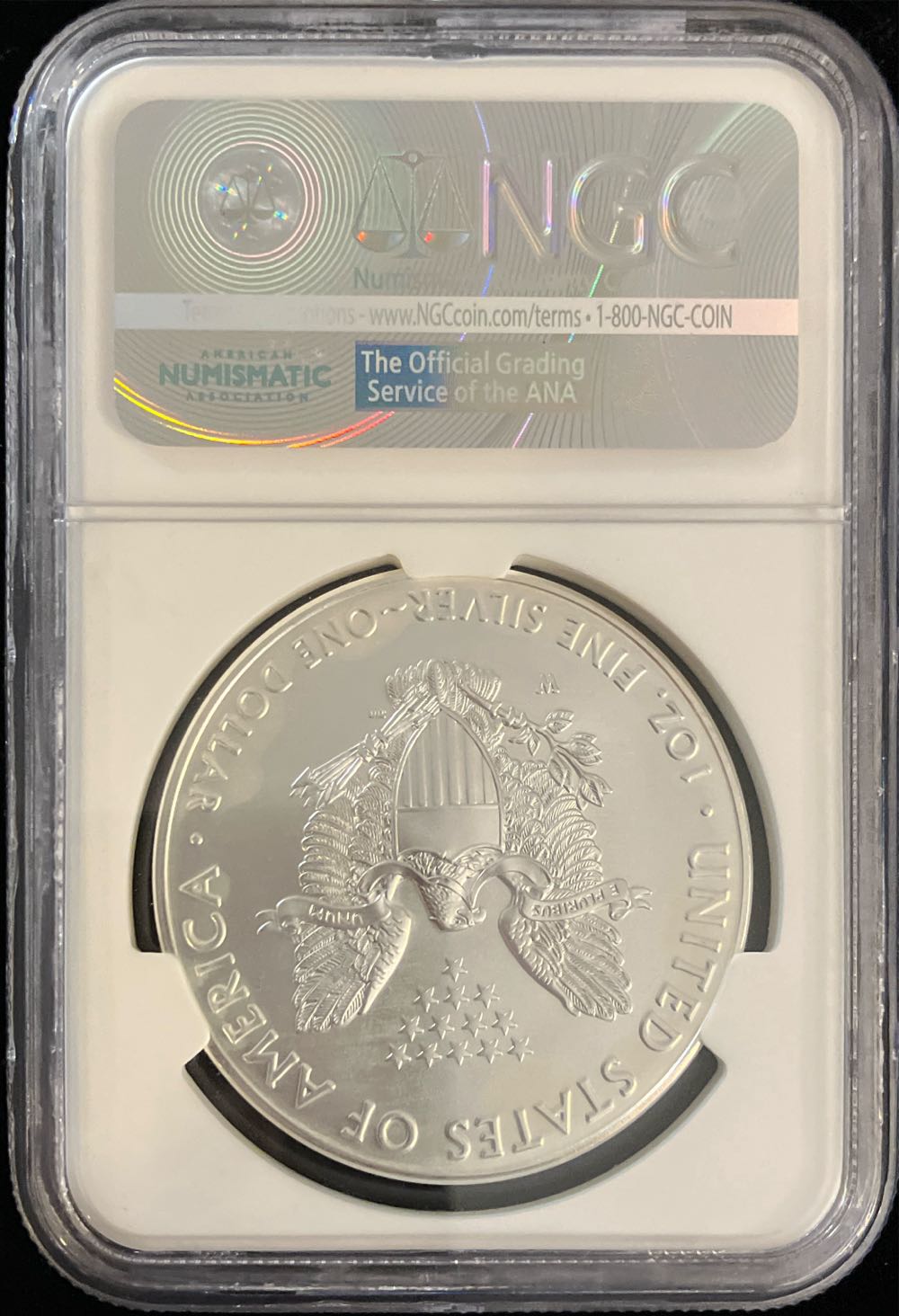 2016 W Silver Eagle Burnished Silver Eagle  coin collectible - Main Image 2