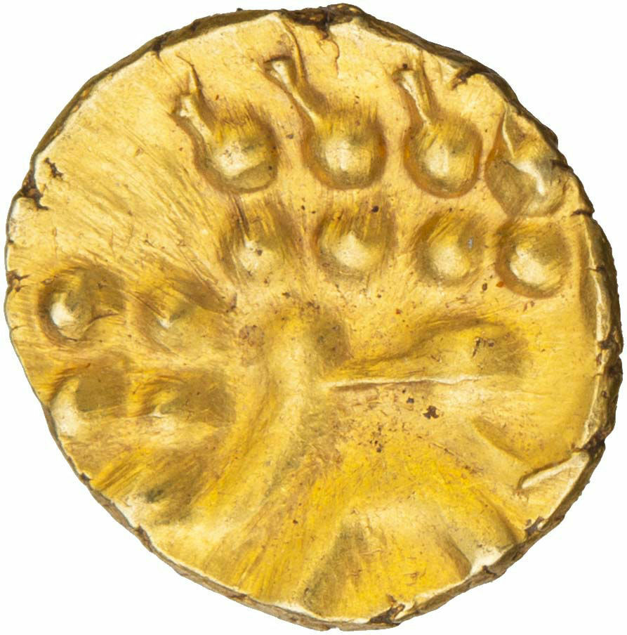 Fannam  coin collectible - Main Image 2