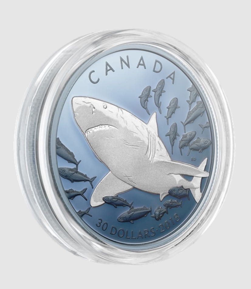 Le grand requin blanc - PIèce de 2 oz en argent pur avec placage de rhodium bleu  coin collectible [Barcode 623932090927] - Main Image 2