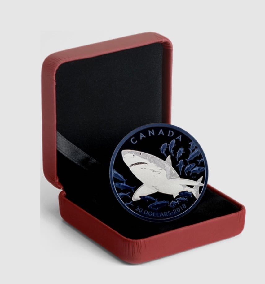 Le grand requin blanc - PIèce de 2 oz en argent pur avec placage de rhodium bleu  coin collectible [Barcode 623932090927] - Main Image 4