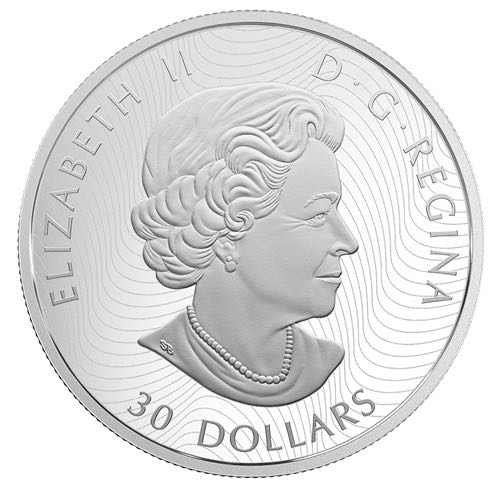 La nature sous toutes ses dimensions : Ours polaires - PIèce de 2 oz en argent pur  coin collectible [Barcode 623932092969] - Main Image 3
